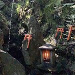 Photo taken by Deborah C