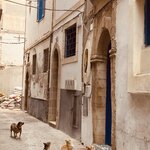 Photo taken by Diana G