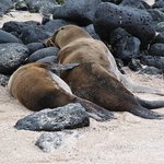 Photo taken by Natascia V