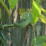 Photo taken by Sabiha K