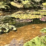 Photo taken by Michelle L