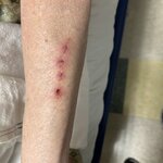 Photo taken by RyanandLisa M