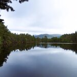 Photo taken by Robert W