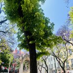 Photo taken by Susan W