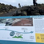 Photo taken by Jaya C