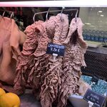 Photo taken by Lisa M