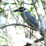 Photo taken by Graeme W