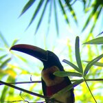 Photo taken by Erna P