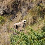 Photo taken by Susan H