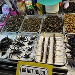 Photo taken by Fuad A