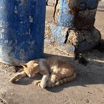 Photo taken by BARBARA A