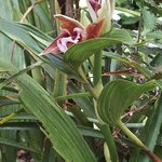 Photo taken by Kathy K