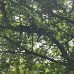 Photo taken by Darla D