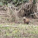 Photo taken by martin M