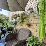 Photo taken by Emily F