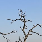 Photo taken by Joanne B