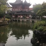 Photo taken by marianne d