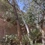 Photo taken by Della O