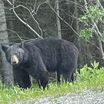 Photo taken by Debbie W