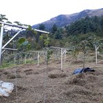 Photo taken by Graham W