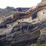 Photo taken by Richard P