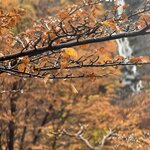 Photo taken by Amber S