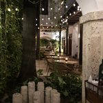 Photo taken by Juliette S