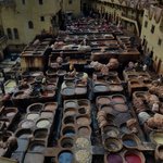 Photo taken by Lisa R