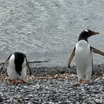 Photo taken by Yelena L