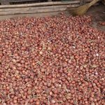 Photo taken by Peter J