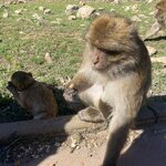 Photo taken by Heather H