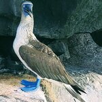 Photo taken by Barry T