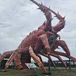 Photo taken by Dan J