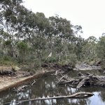 Photo taken by Amy Z