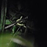 Photo taken by Darla D