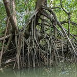 Photo taken by David G