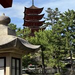 Photo taken by Nicoline v