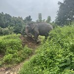 Photo taken by Jose C