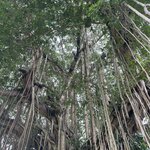 Photo taken by Matteo R