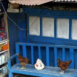 Photo taken by yancey A