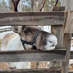 Photo taken by chelsea t