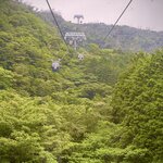 Photo taken by Mallory A