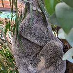 Photo taken by Daniel S