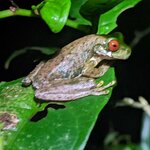 Photo taken by Alda Bernice M