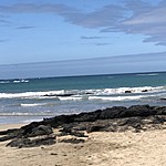 Photo taken by Meggan M