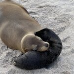 Photo taken by Thomas R