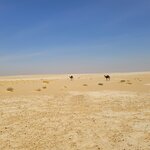 Photo taken by Kim M