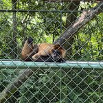 Photo taken by Natasha J