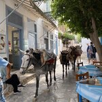 Photo taken by Anne marie M