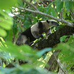 Photo taken by Brett F